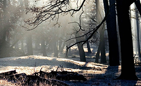 華宇光電,昆明網(wǎng)站建設(shè)，昆明網(wǎng)站設(shè)計(jì)，昆明網(wǎng)站制作,昆明網(wǎng)站建設(shè),云南網(wǎng)站建設(shè),昆明網(wǎng)站設(shè)計(jì),云南網(wǎng)站設(shè)計(jì),昆明網(wǎng)站制作,云南網(wǎng)站制作,商城網(wǎng)站建設(shè),政府網(wǎng)站建設(shè),集團(tuán)網(wǎng)站建設(shè),電商平臺(tái)建設(shè),高端網(wǎng)站建設(shè),微網(wǎng)站建設(shè)